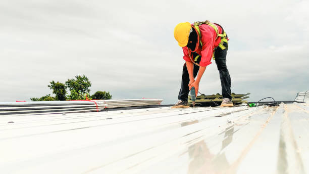 Best Steel Roofing  in Richmond, UT