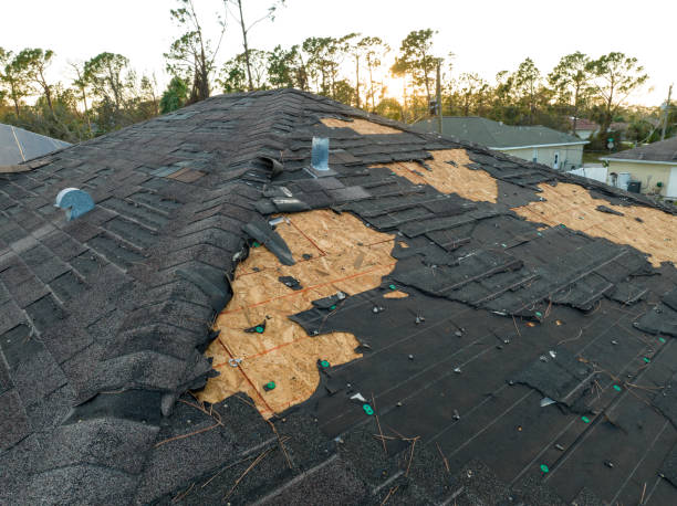 Best Solar Panel Roofing Installation  in Richmond, UT